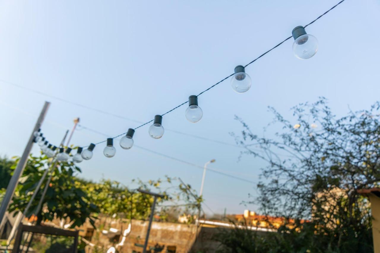 Growth House Bed & Breakfast ปอร์โต ภายนอก รูปภาพ