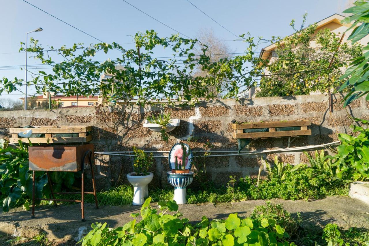 Growth House Bed & Breakfast ปอร์โต ภายนอก รูปภาพ