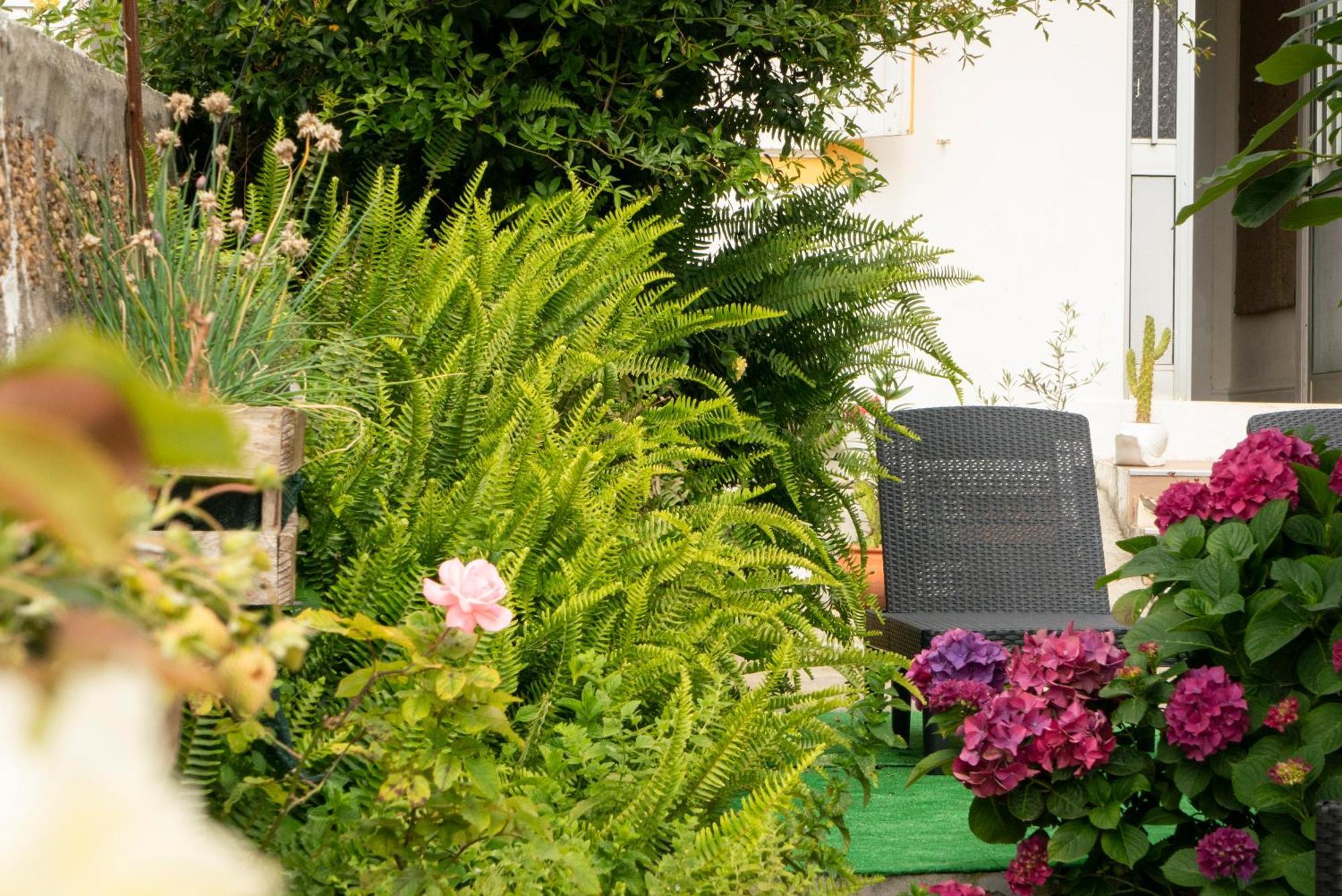 Growth House Bed & Breakfast ปอร์โต ภายนอก รูปภาพ
