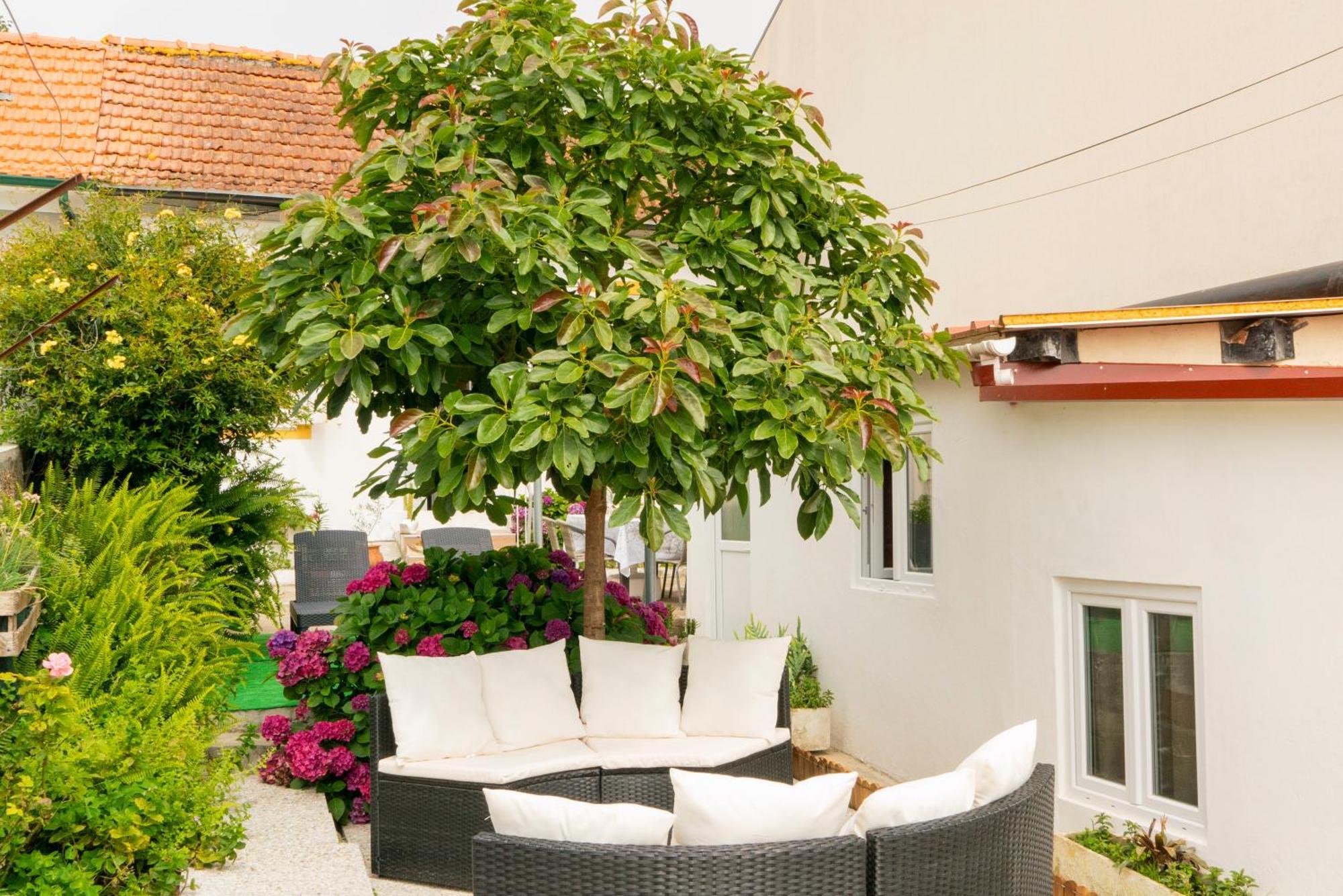 Growth House Bed & Breakfast ปอร์โต ภายนอก รูปภาพ