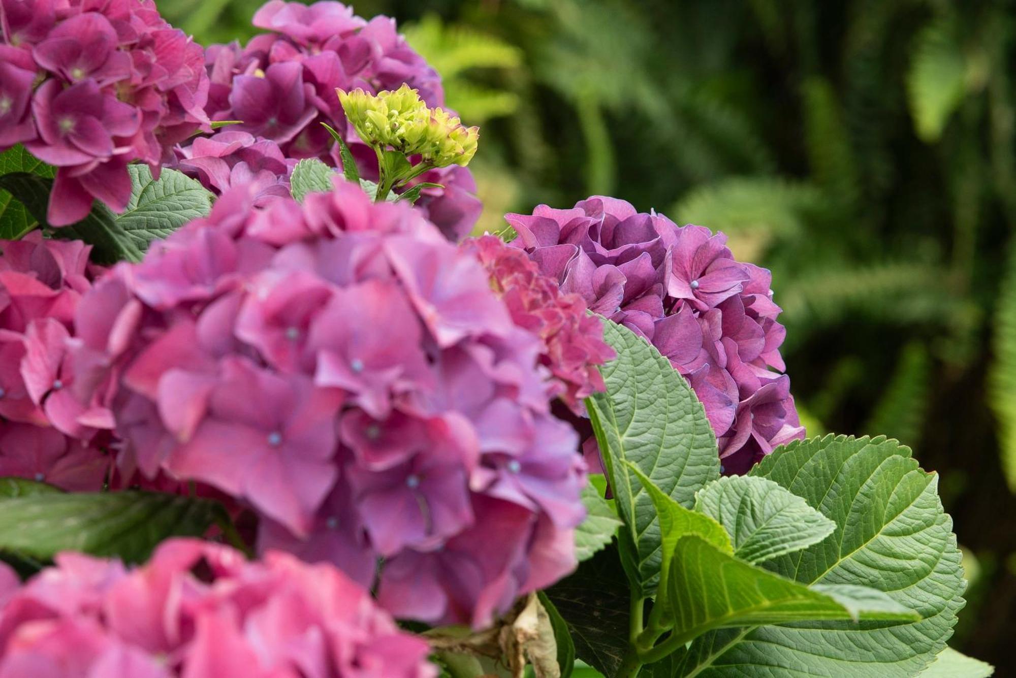 Growth House Bed & Breakfast ปอร์โต ภายนอก รูปภาพ