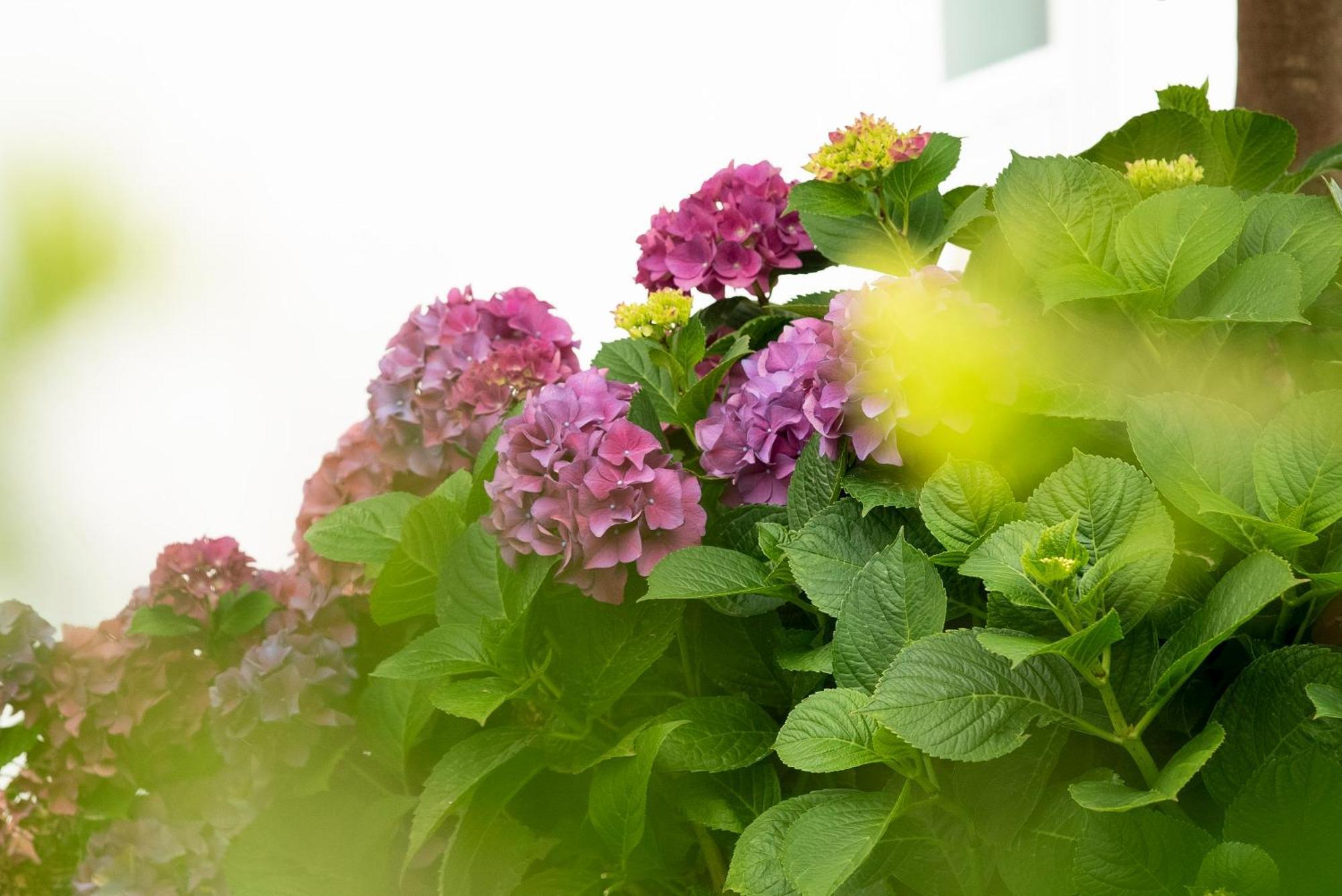 Growth House Bed & Breakfast ปอร์โต ภายนอก รูปภาพ